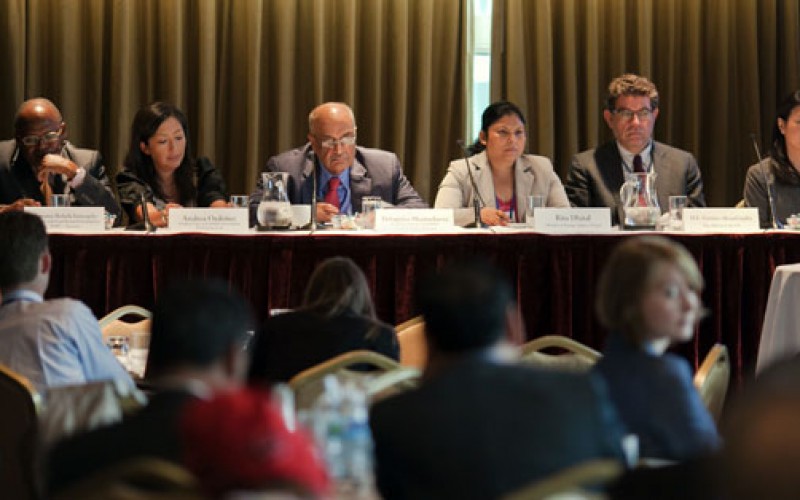 The Power and Potential of Southern Think Tanks for the Post-2015 Agenda