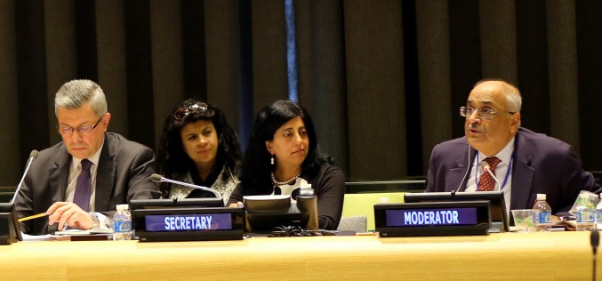 New global agenda demands new approaches to public policy making – SV’s Chair at the HLPF of the United Nations