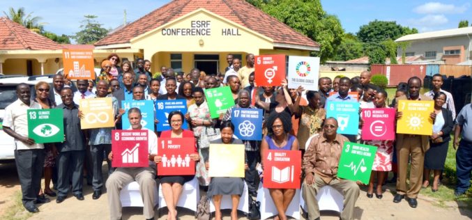 Implementation of SDGs in Tanzania: The Way Forward