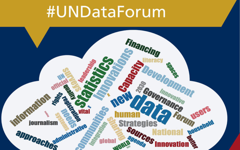 SV’s Chair joins Programme Committee of Second UN Data Forum