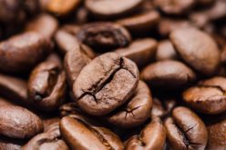 The cost of climate change to Uganda’s coffee sector