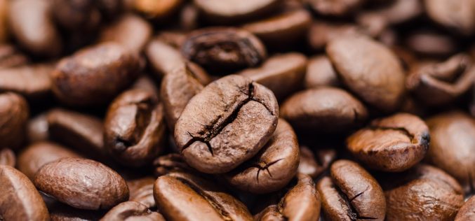 The cost of climate change to Uganda’s coffee sector