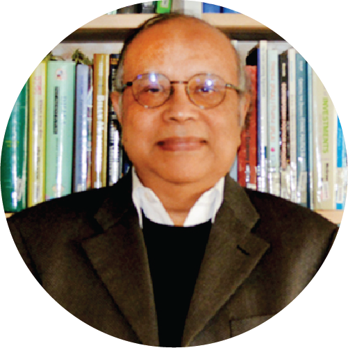 Expert, Sultan Hafeez Rahman, BIGD, Bangladesh