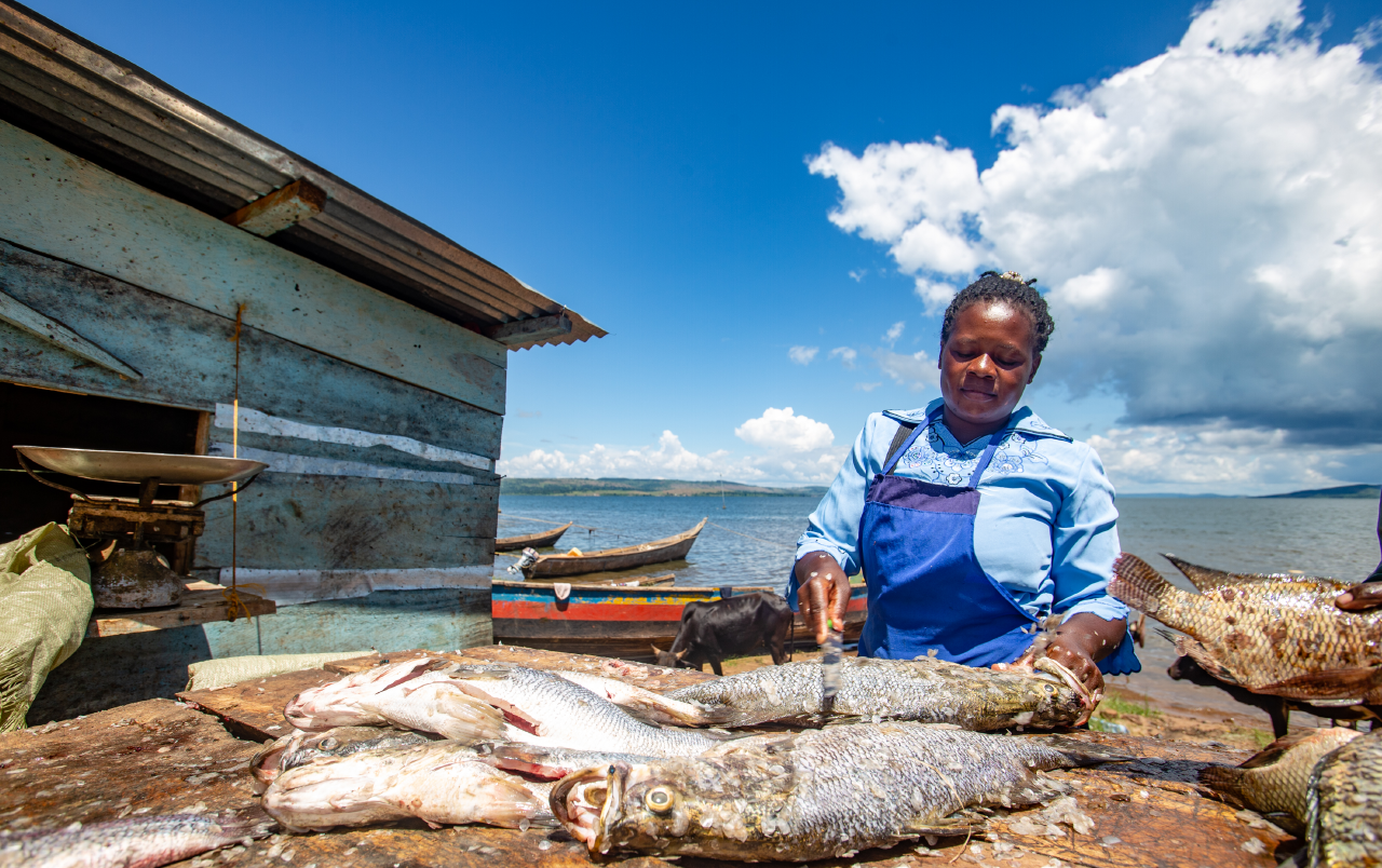 COVID-19 impact on the East African fisheries sector - Southern Voice