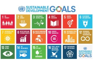 Sustainable-development-goals-SDGs-300x200