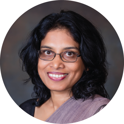 Expert, Nisha Arunatillake, IPS, Sri Lanka